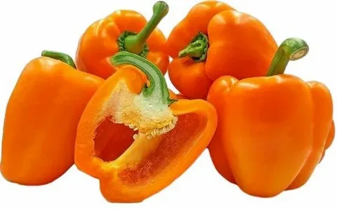 تصویر 2 از فلفل دلمه نارنجی تازه چین آبدار مصرف خام سالم